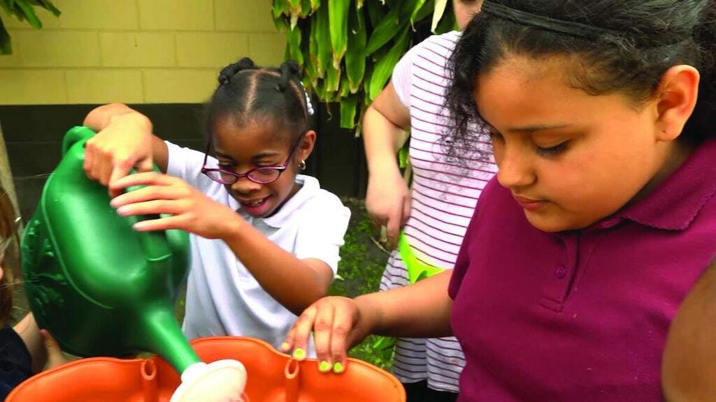 Students use a school garden to learn about the water cycle, water conservation and Florida-Friendly Landscaping practices.